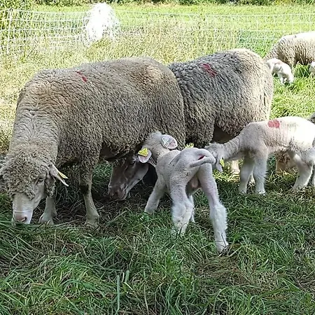 Maison De Campagne En Bord De Riviere Avec Spa Prads-Haute-Bleone